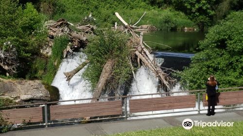 Tumwater Falls Park