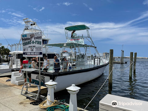 Chase-N-Fins / Aquatic Charters