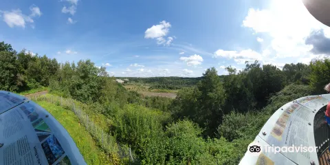 麥塞爾化石遺址