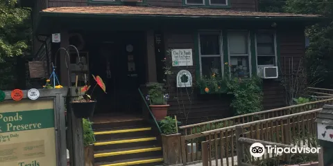 粘土坑池塘州立公園