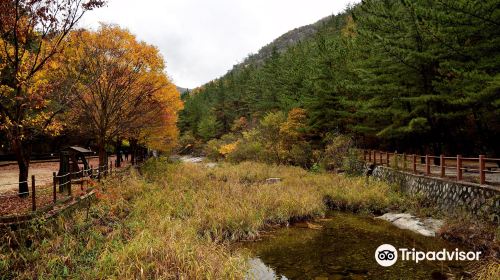 Kyeryongsan sutonggol District National Park