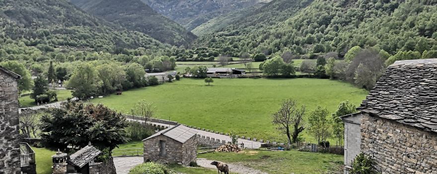 Pomar de Cinca