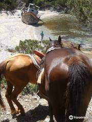 Apaloosa Horse Riding Club