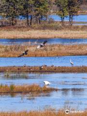 Necedah National Wildlife Refuge