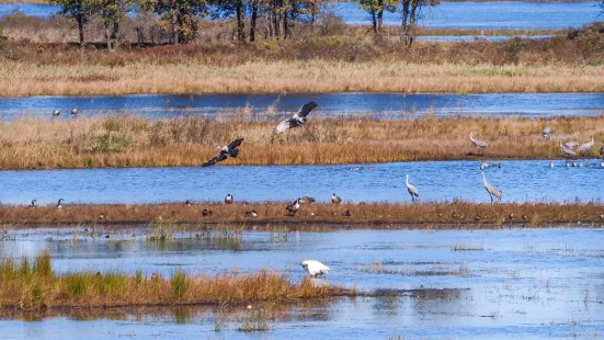 Necedah National Wildlife Refuge