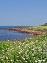 Seaside Natural Park