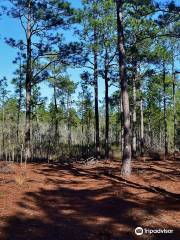 Bay Tree Lake State Natural Area