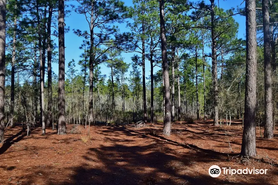 Bay Tree Lake State Natural Area