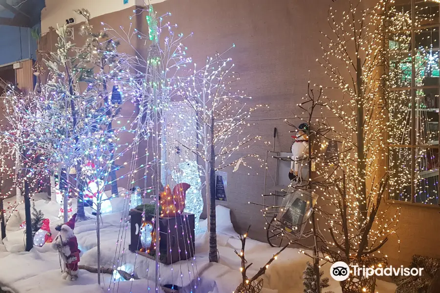 Trowell Garden Centre Photos, Map & Reviews [2024]