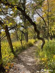 Forestville/Mystery Cave State Park