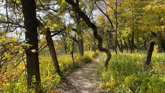 Forestville/Mystery Cave State Park