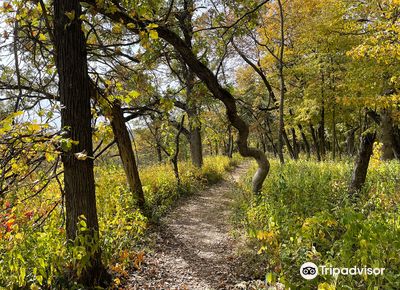 Forestville/Mystery Cave State Park