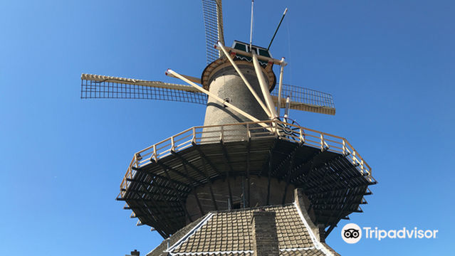 Molen de Roos