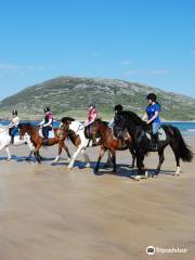 Tullagh Bay Equestrian Centre