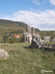 Vynohradiv Castle (Castle Kanku)