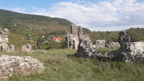Vynohradiv Castle (Castle Kanku)