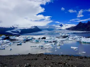 Fjallsarlon