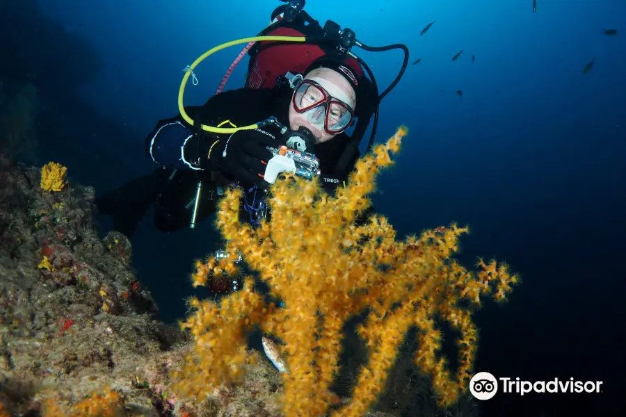 Euro-Divers Lanzarote