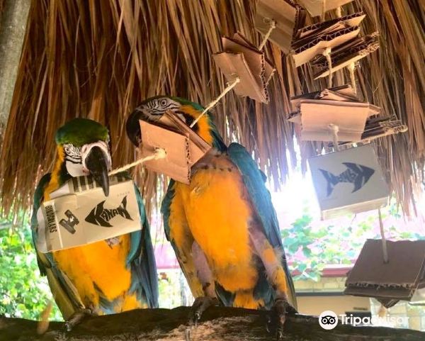 Mexico City to Palenque flight