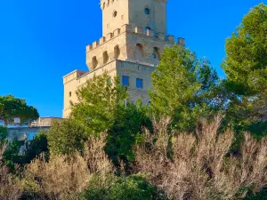 Torre del Cerrano