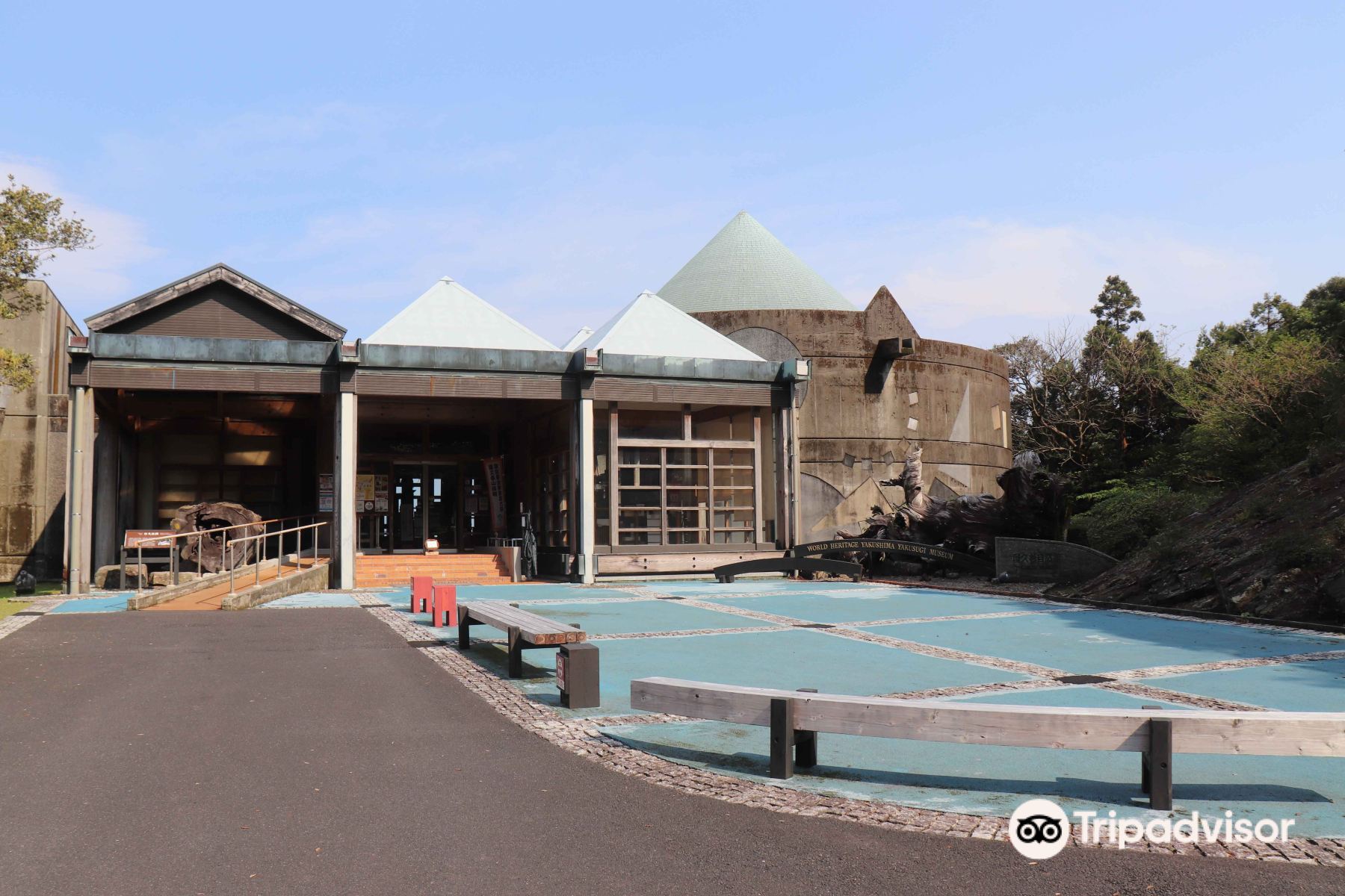 Yakusugi Museum Tickets [2026] - Promos, Prices, Reviews & Opening