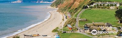 Branscombe Beach