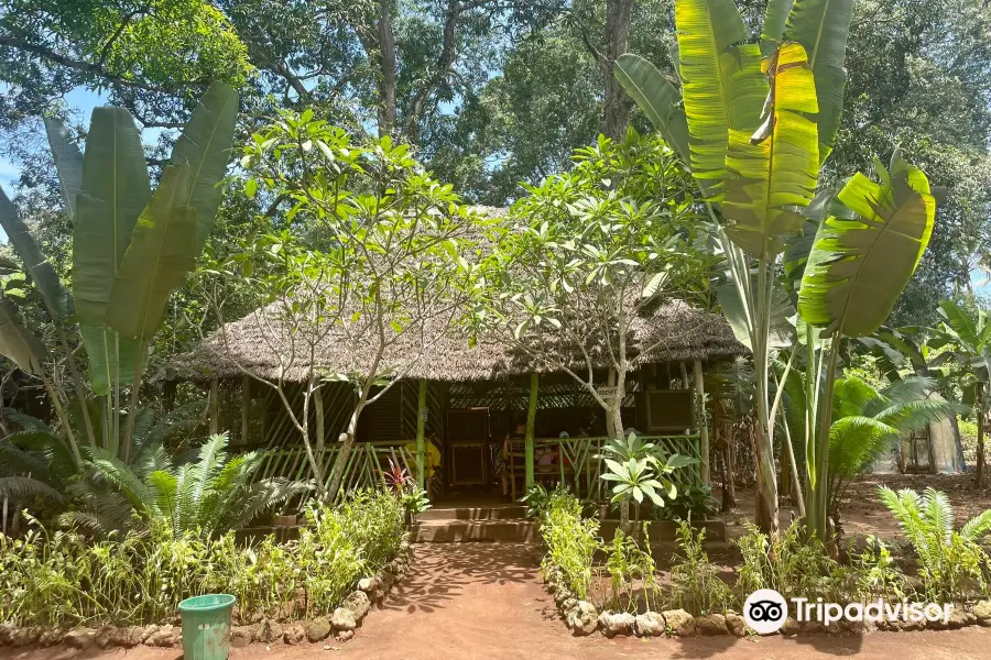 Zanzibar Butterfly Centre