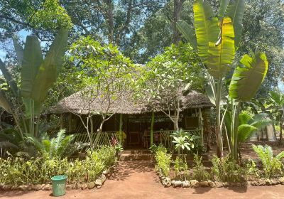 Zanzibar Butterfly Centre