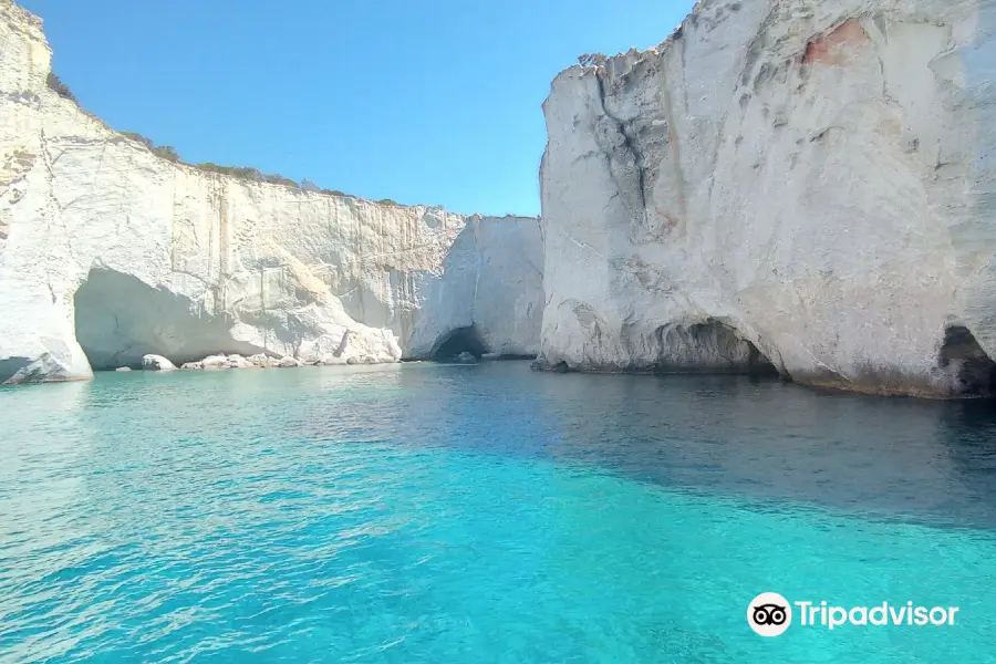 Delfinia Boat Tours - half day.