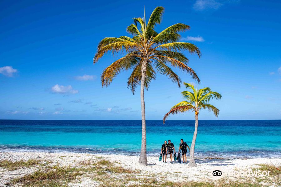 Sacramento to Bonaire Flights