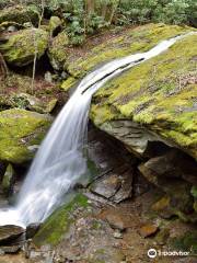 Otter Falls Trail