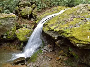 Otter Falls Trail