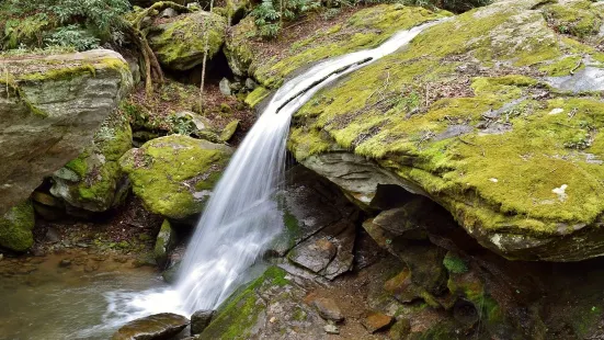 Otter Falls Trail