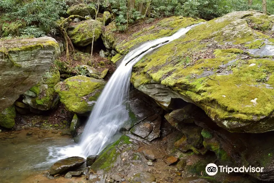 Otter Falls Trail