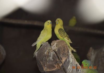 Machia Biological Park Jodhpur