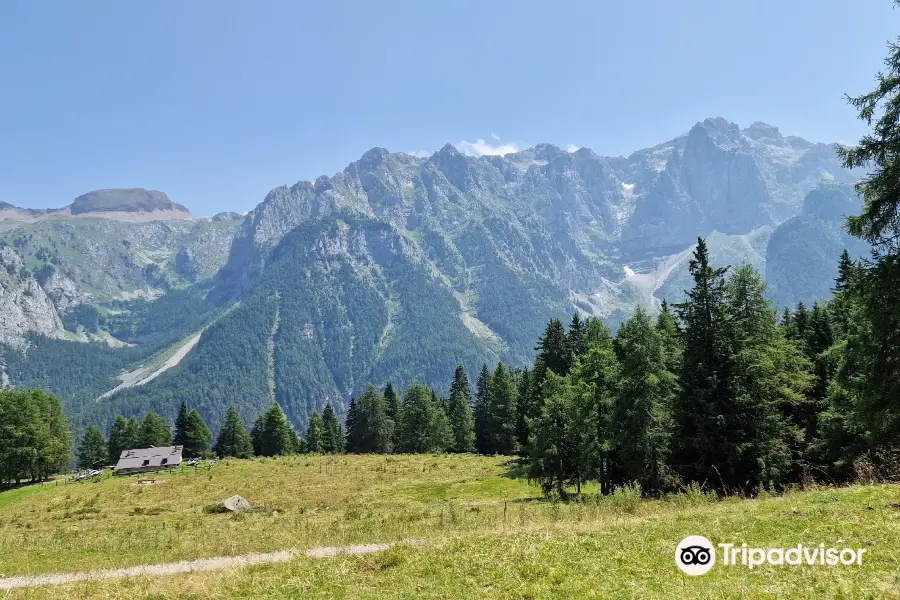 Malga Folgarida di Dimaro