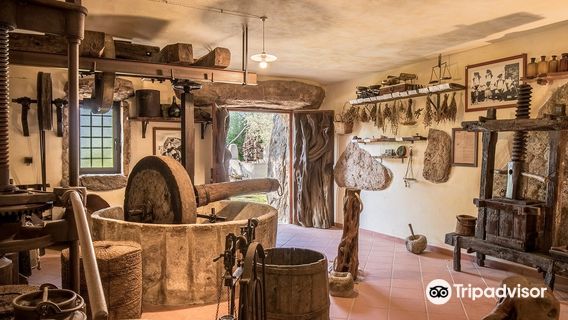 Parco Museo S'Abba Frisca