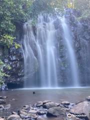 Ellinjaa Falls