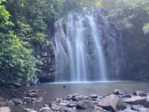 Ellinjaa Falls