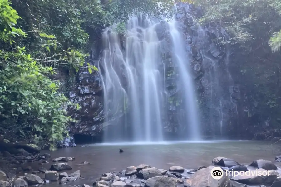 Ellinjaa Falls