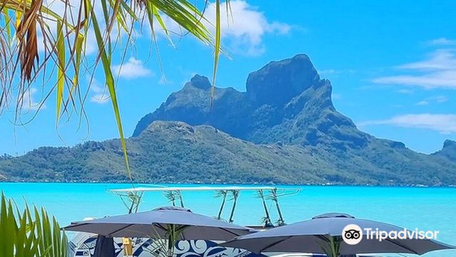 Lagoon Service Bora Bora