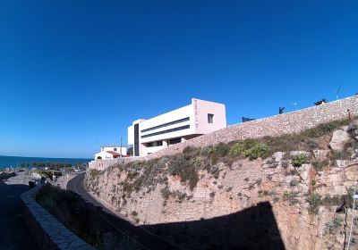 Musée de la Mer