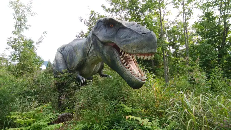Hotels near Katsuyama Dino Park