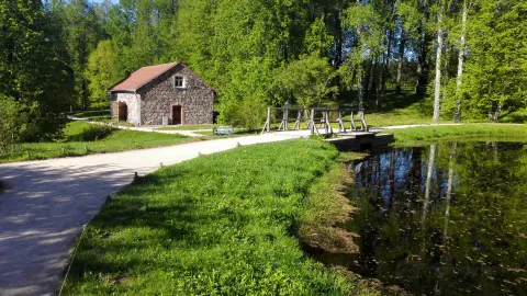 Порно флора