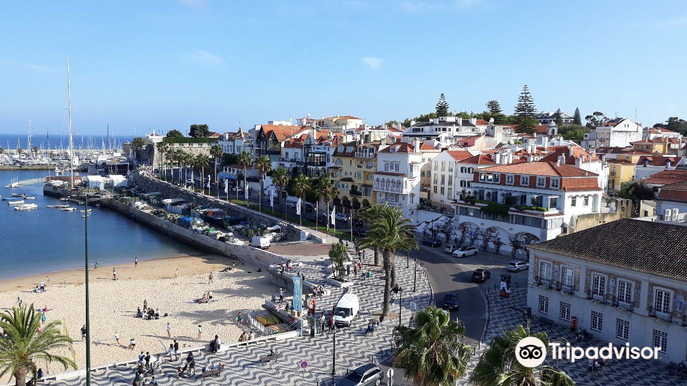 Há mais uma Decathlon gigante em Portugal — e tem uma zona para fazer  desporto – NiT