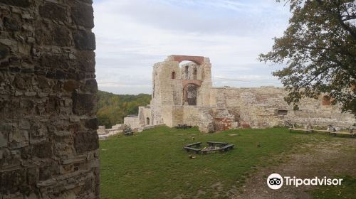 Tenczyn Castle