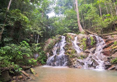 Pulai Waterfall