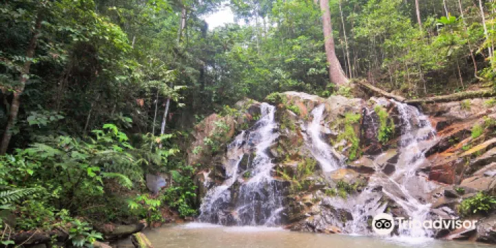 Pulai Waterfall