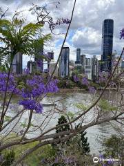 Kangaroo Point Cliffs Park 4P