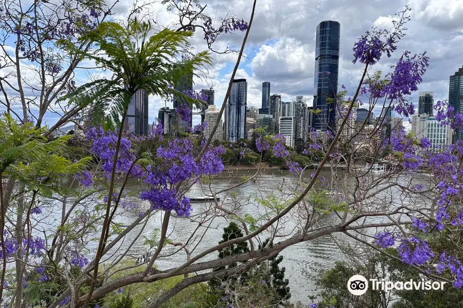 Kangaroo Point Cliffs Park 4P